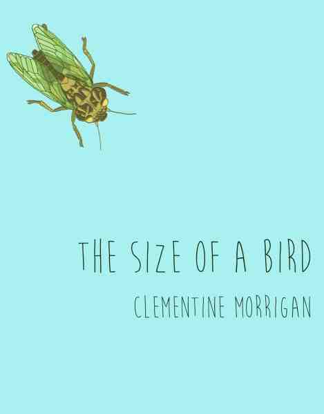 Front cover of "The size of a bird"