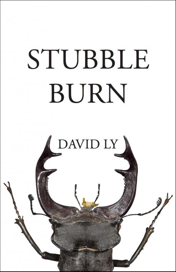 Stubble Burn book cover