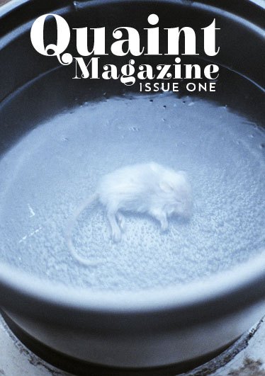 “Broetry”, The Gender Gap, and Women-Only Spaces: An Interview with Quaint Magazine