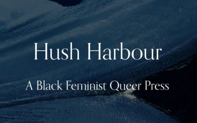 BackRoom: Extended Interview with Hush Harbour Press