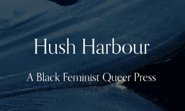 BackRoom: Extended Interview with Hush Harbour Press