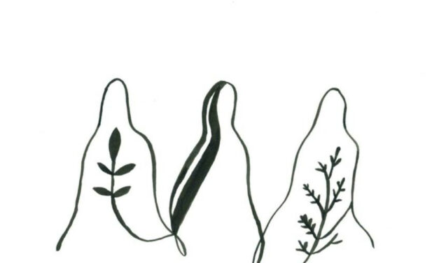 Black History Month Interview Feature: Amber Starks on Blackness and Indigeneity