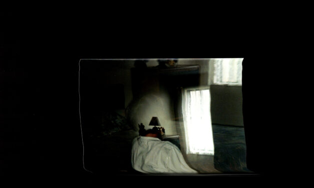 Cover Art Contest 2020: Honourable Mention