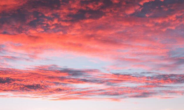 45.1 Ancestors Issue Editor’s Interview