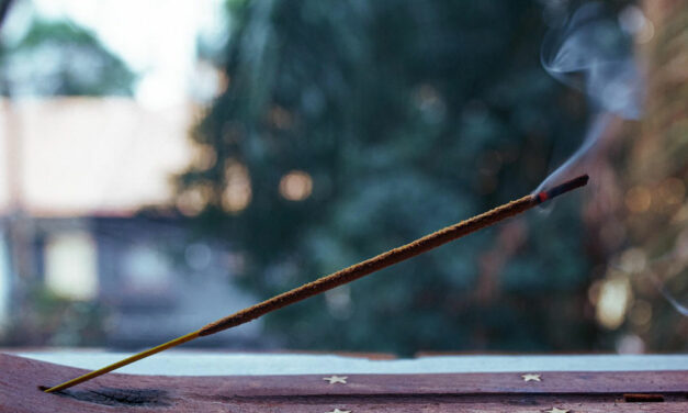 45.1 Ancestors Issue