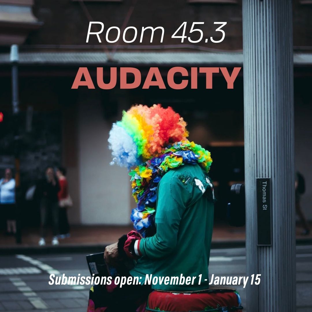 Room 45.3 AUDACITY