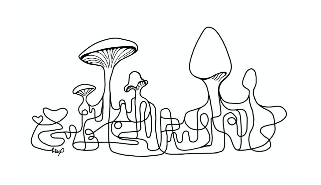 Line drawing depicting the root structure of mycelium.