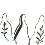 The Indigenous Brilliance Podcast – Season 2, Episode 1: Love As Rest