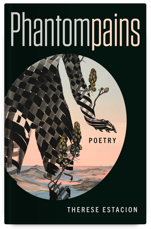 Cover photo of Phantompains, showing the weaving of a giant mythological creature's legs, walking across a plain of mountains in a circle, with a black border