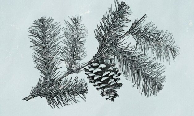 Review of Manikanetish