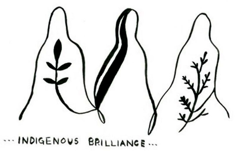 indigenous-brilliance-logo-800 Indigenous Brilliance Reading Series