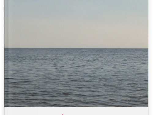 Review of Remnants by Céline Huyghebaert