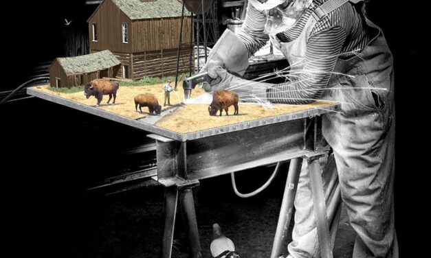 Review of Thick Skin by Hilary Peach