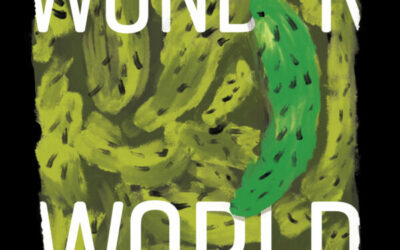 Review of Wonder World by K.R. Byggdin