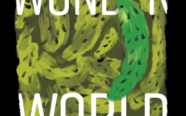 Review of Wonder World by K.R. Byggdin