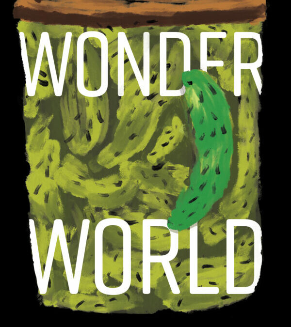 Review of Wonder World by K.R. Byggdin