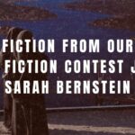 Fiction from 2024 Fiction Contest judge Sarah Bernstein: Vanishing Point