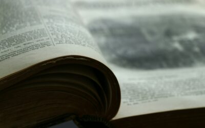 Short Forms Contest 2023: The Longlist