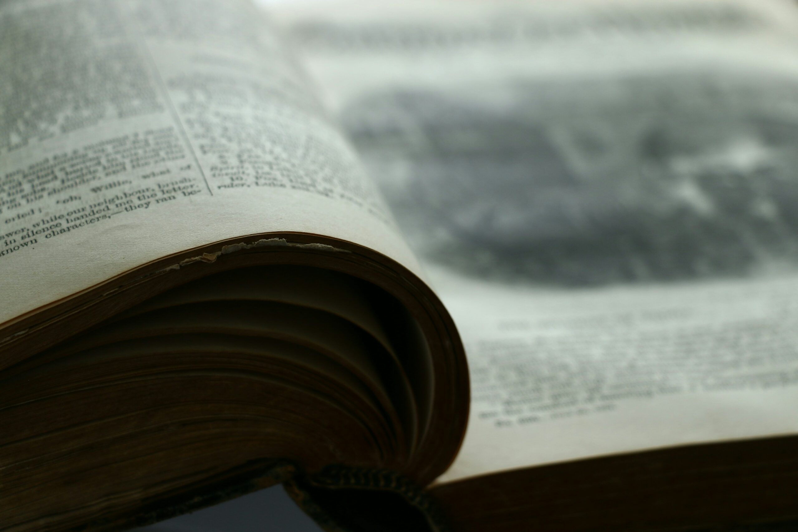 pierre-bamin-LUlf2CcrWhg-unsplash