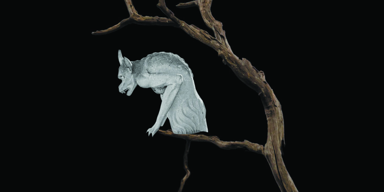 Book cover of Cathedral/Grove by Susan Glickman