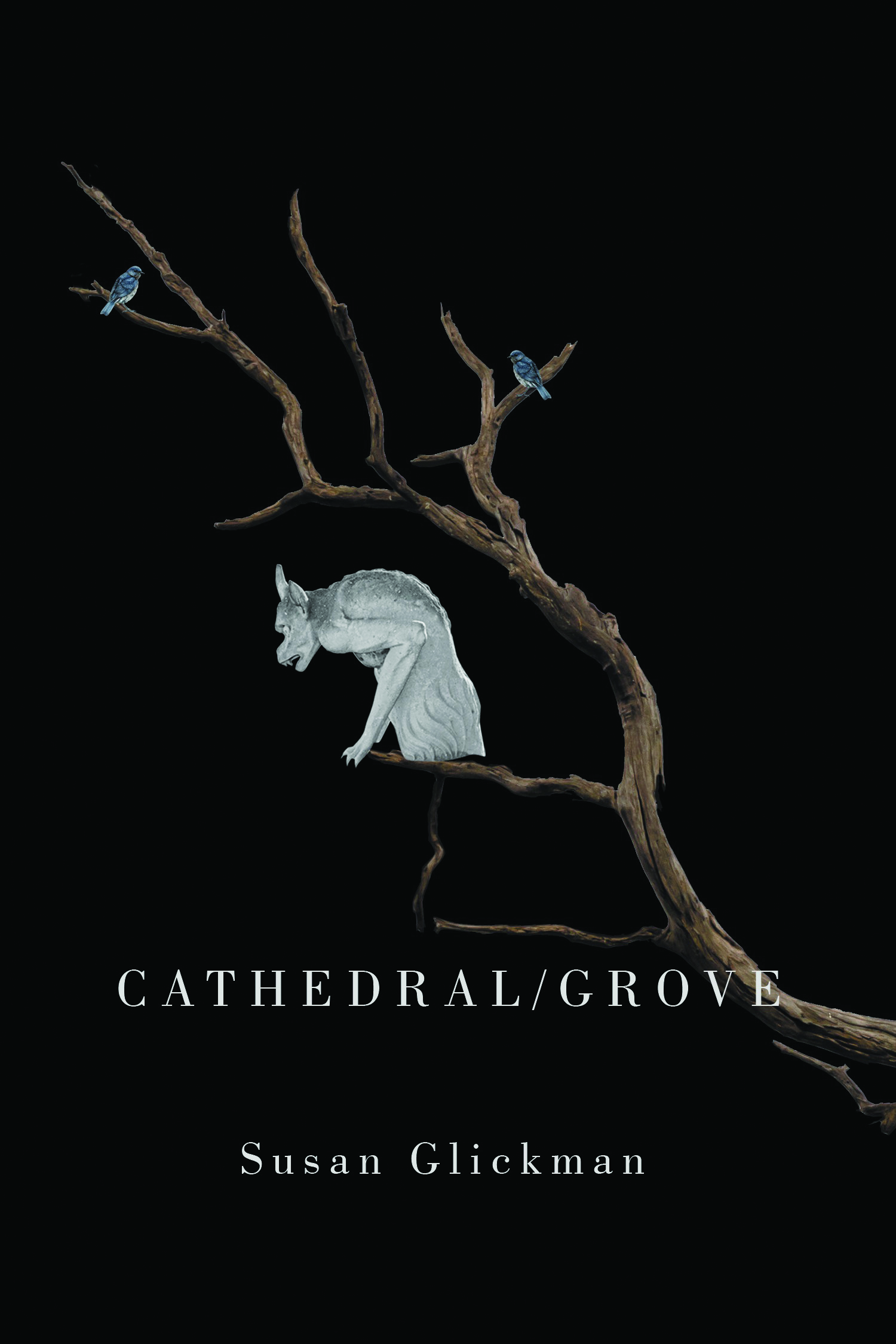 Glickman5 Book cover of Cathedral/Grove by Susan Glickman
