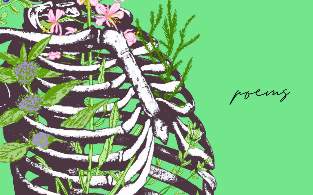 Review of Crushed Wild Mint by Jess Housty