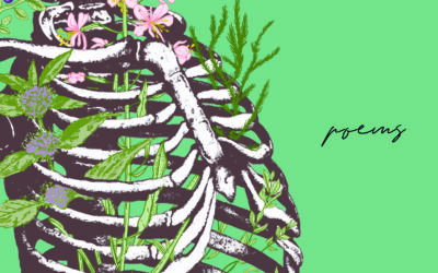 Review of Crushed Wild Mint by Jess Housty