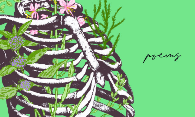 Review of Crushed Wild Mint by Jess Housty