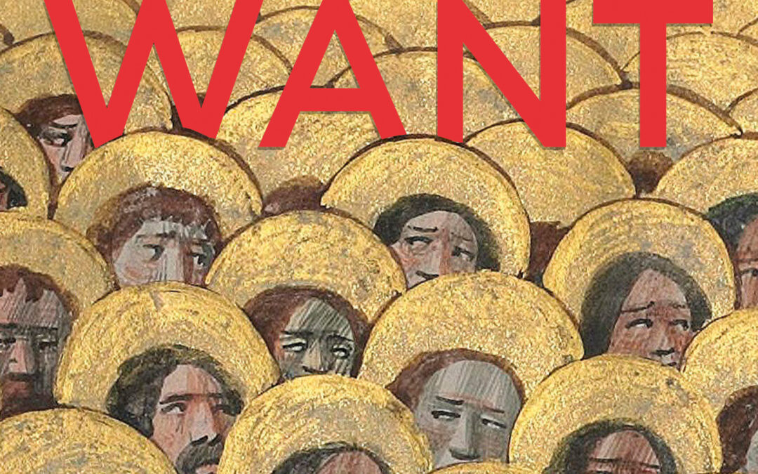 Review of Good Want by Domenica Martinello