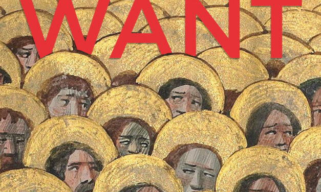 Review of Good Want by Domenica Martinello