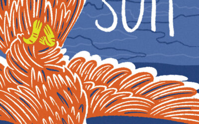 Review of Bird Suit by Sydney Hegele