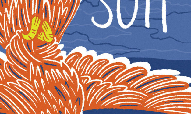 Review of Bird Suit by Sydney Hegele