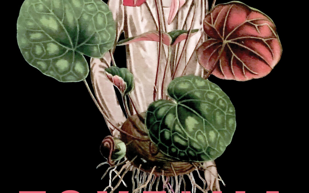 Review of Toxemia by Christine McNair
