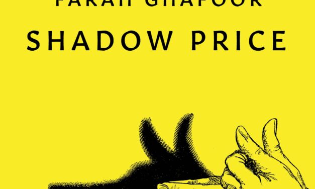 Review of Shadow Price by Farah Ghafoor