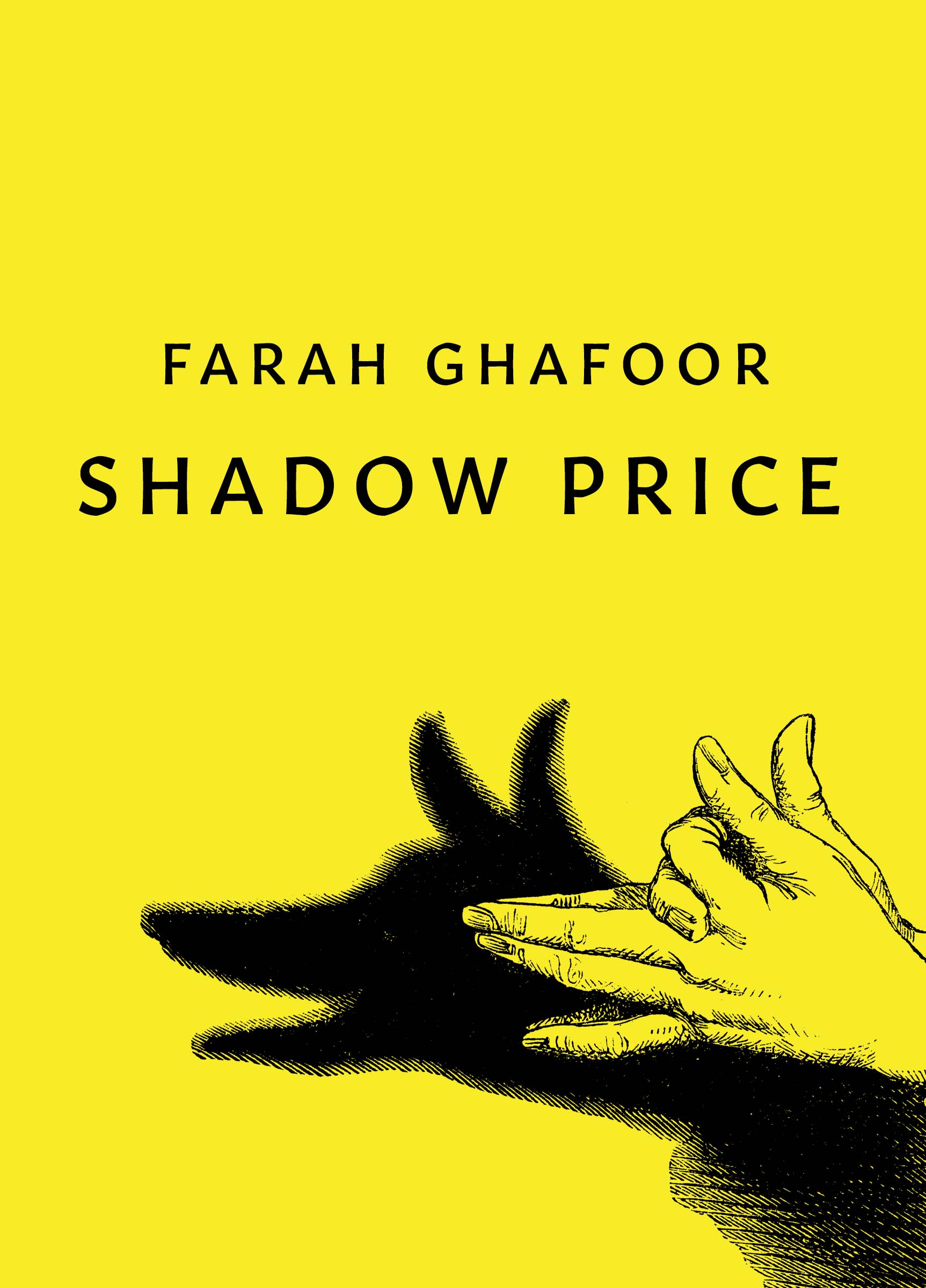 RVW Morris Book cover of Shadow Price by Farah Ghafoor