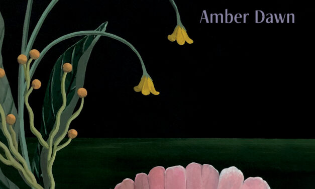 Review of Buzzkill Clamshell by Amber Dawn