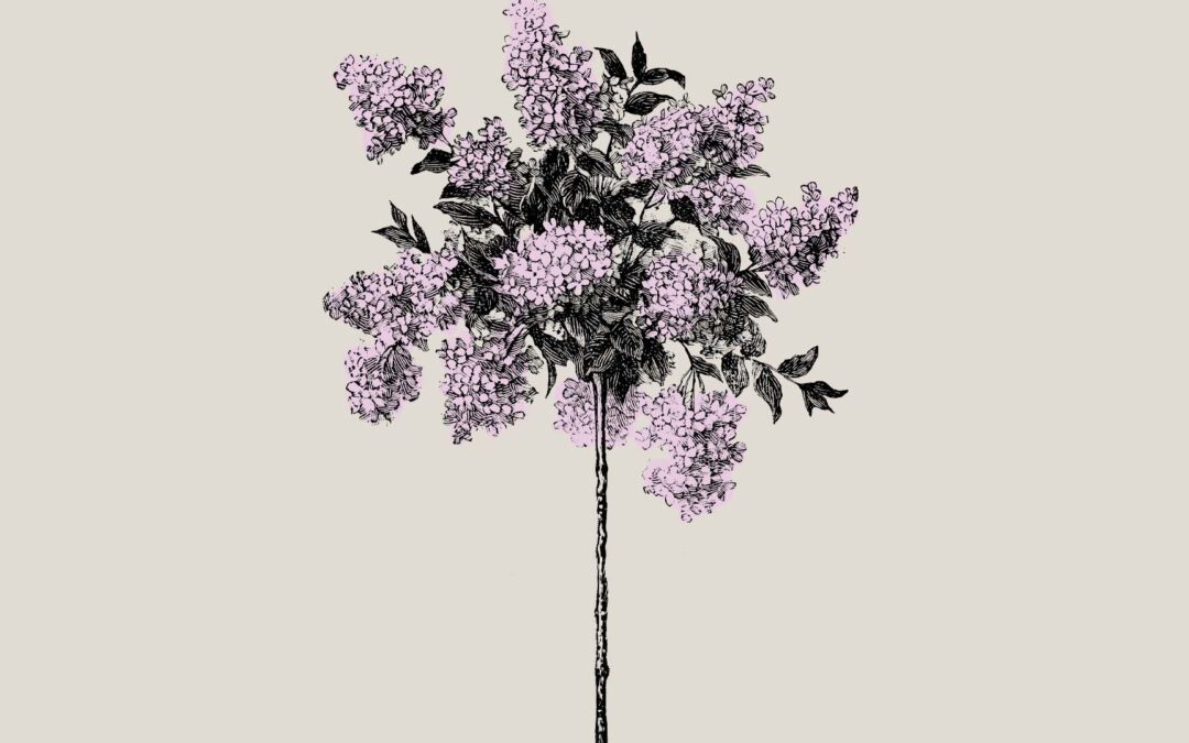 Review of Wellwater by Karen Solie