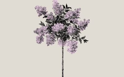 Review of Wellwater by Karen Solie