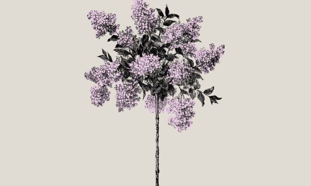 Review of Wellwater by Karen Solie