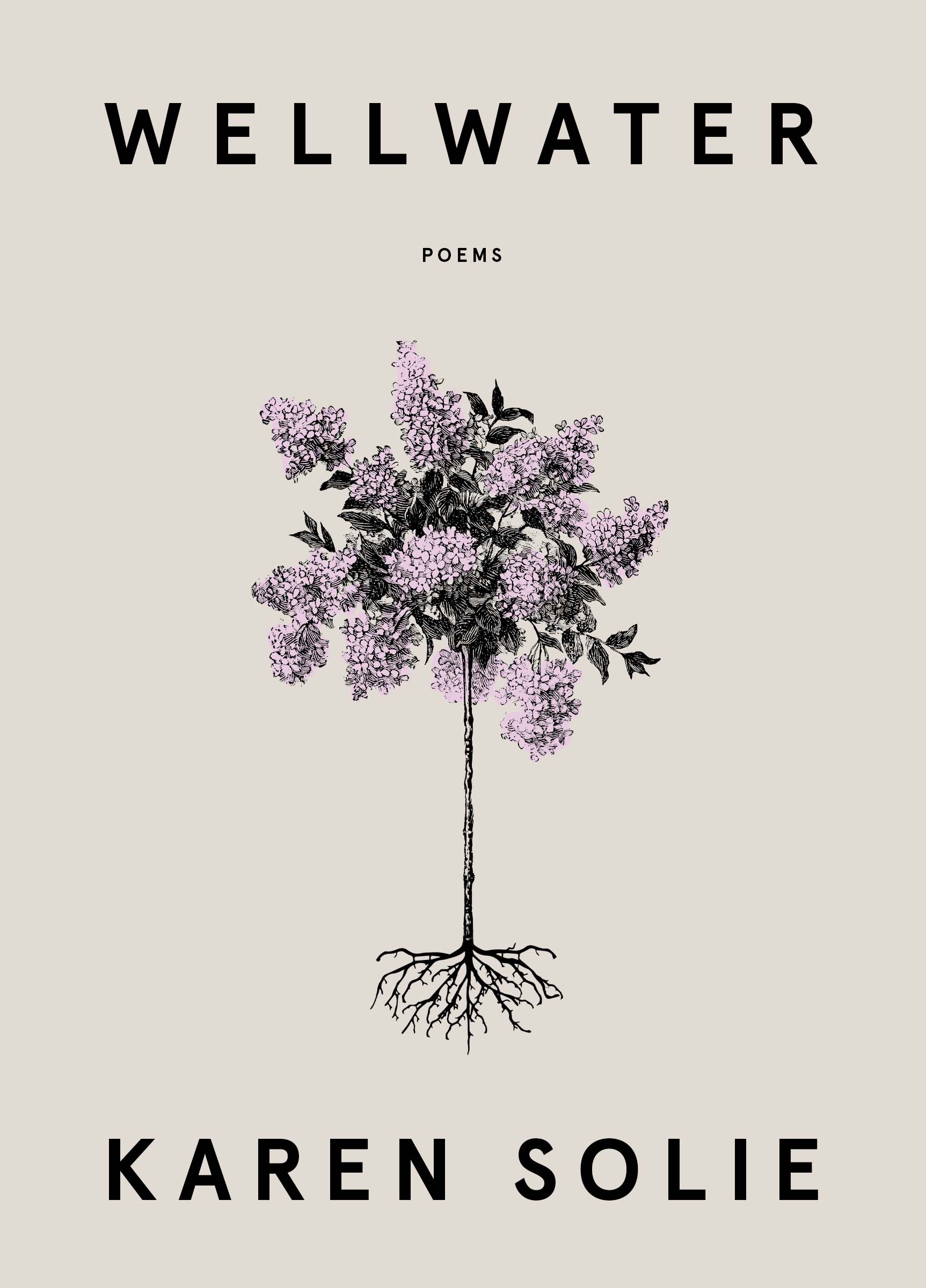 RVW Van Book cover of Wellwater by Karen Solie